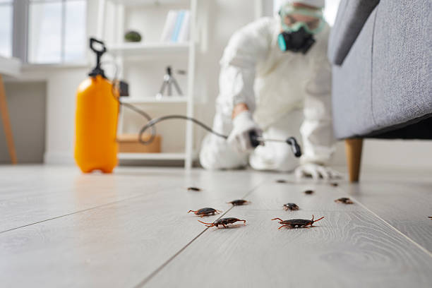 Commercial Kitchen Cockroach Control in Southfield